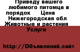 Приведу вашего любимого питомца в порядок.  › Цена ­ 800 - Нижегородская обл. Животные и растения » Услуги   